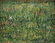 Vincent Van Gogh Patch of Grass oil painting reproduction